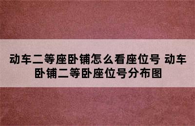 动车二等座卧铺怎么看座位号 动车卧铺二等卧座位号分布图